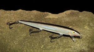 The possession limit for barra on the Daly River has dropped from 5 fish to 3.